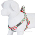 Cheiro de pet spring inspirado floral sublimação cão arnês